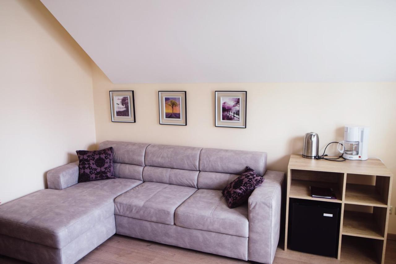 Hotel - Pension Vesta Bad Elster Δωμάτιο φωτογραφία