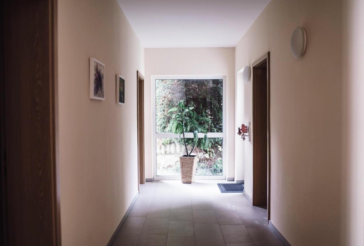 Hotel - Pension Vesta Bad Elster Εξωτερικό φωτογραφία
