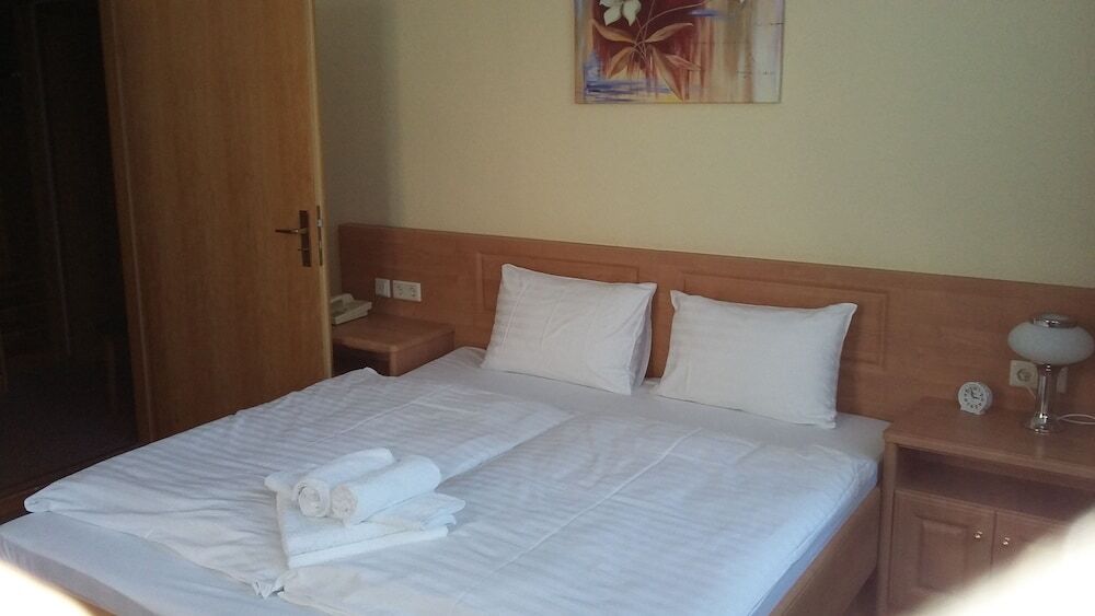 Hotel - Pension Vesta Bad Elster Εξωτερικό φωτογραφία